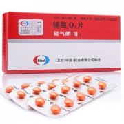 能气郎  辅酶Q10片